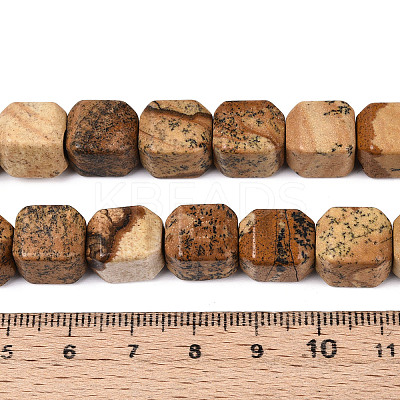 Natural Picture Jasper Beads Strands G-N353-03A-06-1