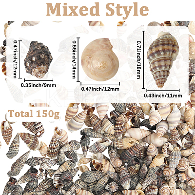 150G 5 Styles Natural Mixed Shell Beads SSHEL-SC0001-50-1