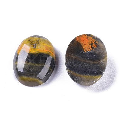 Natural Bumblebee Jasper Cabochons G-A179-01C-1