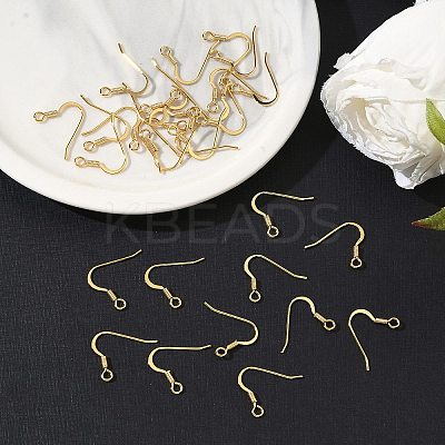 SHEGRACE Brass Earring Hooks XGR0139G-152G-1