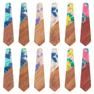 12Pcs 6 Colors Resin and Walnut Pendants FIND-TA0006-36D-1