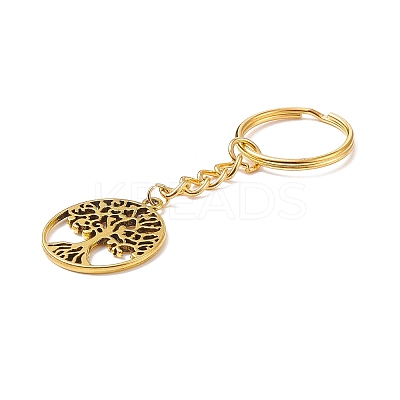 Tibetan Style Alloy Pendant Keychain KEYC-JKC00336-1