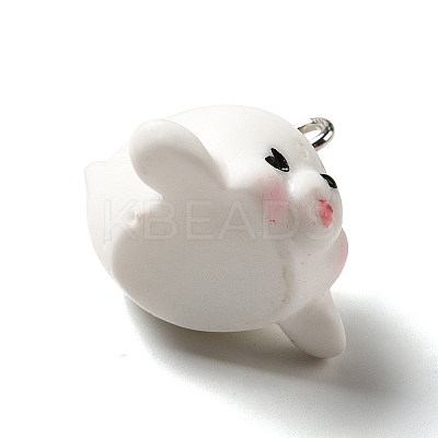 Marine Series Opaque Resin Pendants RESI-E031-02P-14-1