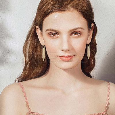 2 Pairs 2 Colors Alloy Tassel Stud Earrings EJEW-AN0004-75-1