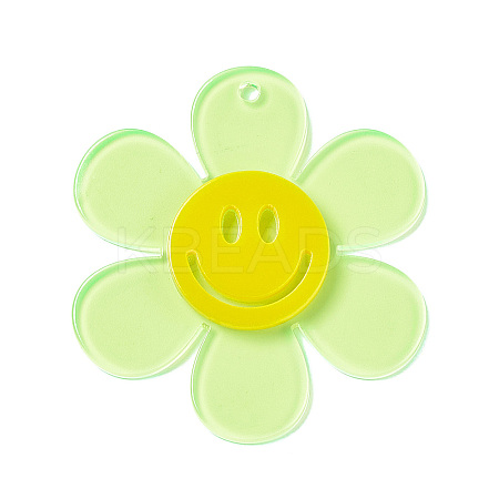 Transparent Acrylic Big Pendants OACR-P012-A04-1