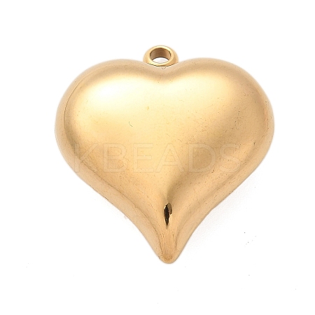 304 Stainless Steel Pendants LS-STAS-Q349-02E-G-1
