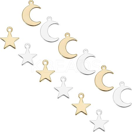 304 Stainless Steel Charms & Pendants STAS-UN0016-60-1