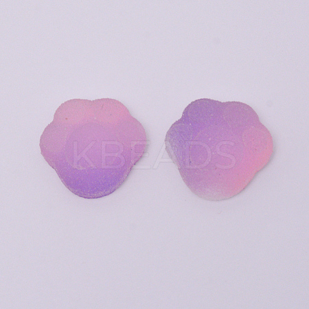 Gradient Style Resin Cabochons CRES-CJC0001-09E-1