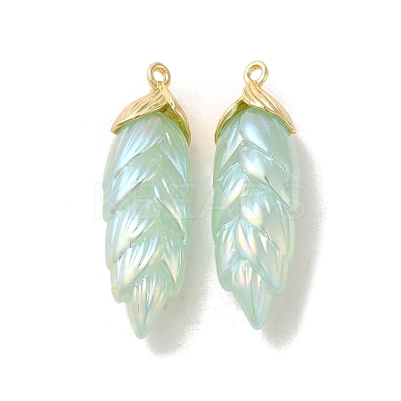 Rainbow Iridescent Plating Resin Pendants RESI-C047-03D-G-1