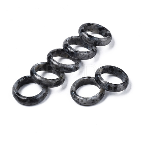 Natural Black Larvikite Plain Band Ring G-N0326-99C-1
