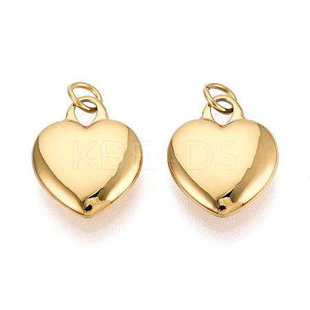 316 Surgical Stainless Steel Pendants LS-STAS-N097-032-1