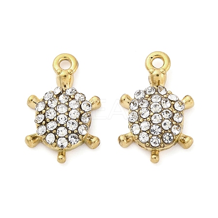 304 Stainless Steel Charms LS-STAS-V003-05G-04-1