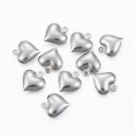 Tarnish Resistant 304 Stainless Steel Charms A-STAS-H413-16P-1