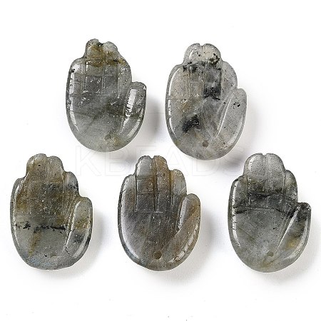 Natural Labradorite Pendants G-K359-03E-1