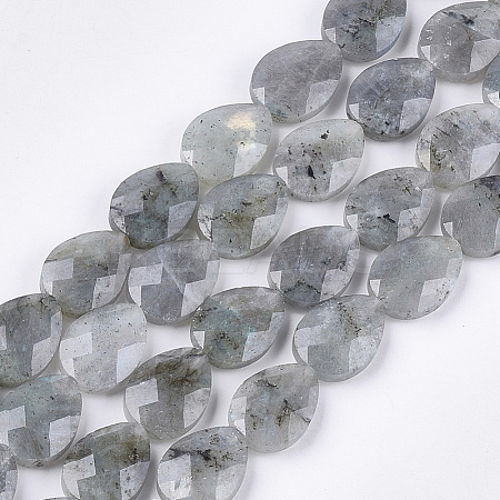 Natural Labradorite Beads Strands G-S354-07-1