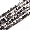 Natural Tourmalinated Quartz/Black Rutilated Quartz Beads Strands G-D0002-B26-1