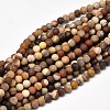 Frosted Natural Petrified Wood Round Bead Strands G-F266-07-12mm-1