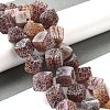 Natural Weathered Agate Beads Strands G-Q169-C04-02A-2