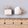 Natural White Moonstone Pendants G-N359-18G-15-3