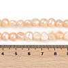 Natural Cultured Freshwater Pearl Beads Strands PEAR-P064-19H-02C-5
