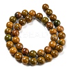 Natural Ocean Jasper Beads Strands G-P503-10MM-07-3