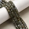 Natural Labradorite Beads Strands G-F797-A09-01-1