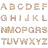 26Pcs 26 Styles Transparent Epoxy Resin Pendants CRES-YW0002-28E-1
