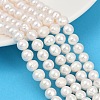 Natural Cultured Freshwater Pearl Beads Strands PEAR-I007-07X-09A-1