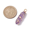 Natural Amethyst Double Terminal Pointed Pendants PALLOY-JF02672-01-3