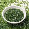 MIYUKI Round Rocailles Beads X-SEED-G008-RR0341-2