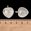 Natural Quartz Crystal Pendants G-B180-03G-12-3