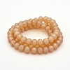 Full Rainbow Plated Faceted Rondelle Glass Beads Strands EGLA-J054-8x5mm-FR01-2