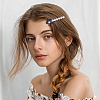 Zinc Alloy & Iron & Resin Alligator Hair Clips PHAR-SP0001-05-7