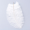 Ostrich Feather Costume Accessories FIND-R036-C-16-1