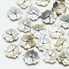 Black Lip Shell Beads SSHEL-S260-030-1