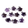 Natural Amethyst Pendants G-Q172-09P-07-1