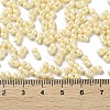 Glass Seed Beads SEED-L011-04A-09-4