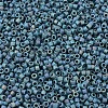 MIYUKI Delica Beads SEED-MY11-DB2316-3