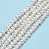 Natural Cultured Freshwater Pearl Beads Strands PEAR-F018-13A-01-2