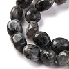Natural Larvikite Beads Strands G-G146-A13-01-4