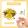 100G PE Paillette/Sequin Confetti DIY-SP0005-41A-2