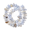Natural Blue Lace Agate Beads Strands G-L649-A02-01-3