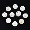 Natural Freshwater Shell Beads SHEL-N003-20-04-1