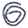 Natural Blue Aventurine Beads Strands G-A280-C08-01-4