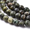 Natural African Turquoise(Jasper) Beads Strands G-N0188-02-2mm-5