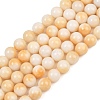 Dyed Natural White Jade Beads Strands GG-CBAD029-A01-10mm-2