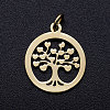 304 Stainless Steel Pendants STAS-T046-JA350-2A-G-1