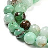 Natural Chrysoprase Beads Strands G-P503-8MM-03-4