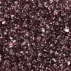 Baking Paint Glass Seed Beads SEED-K009-03B-03-3