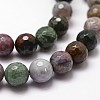 Natural Indian Agate Beads Strands G-G736-31-10mm-3